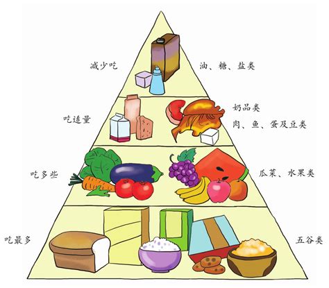 食物金|营养膳食怎么搭配——营养金字塔